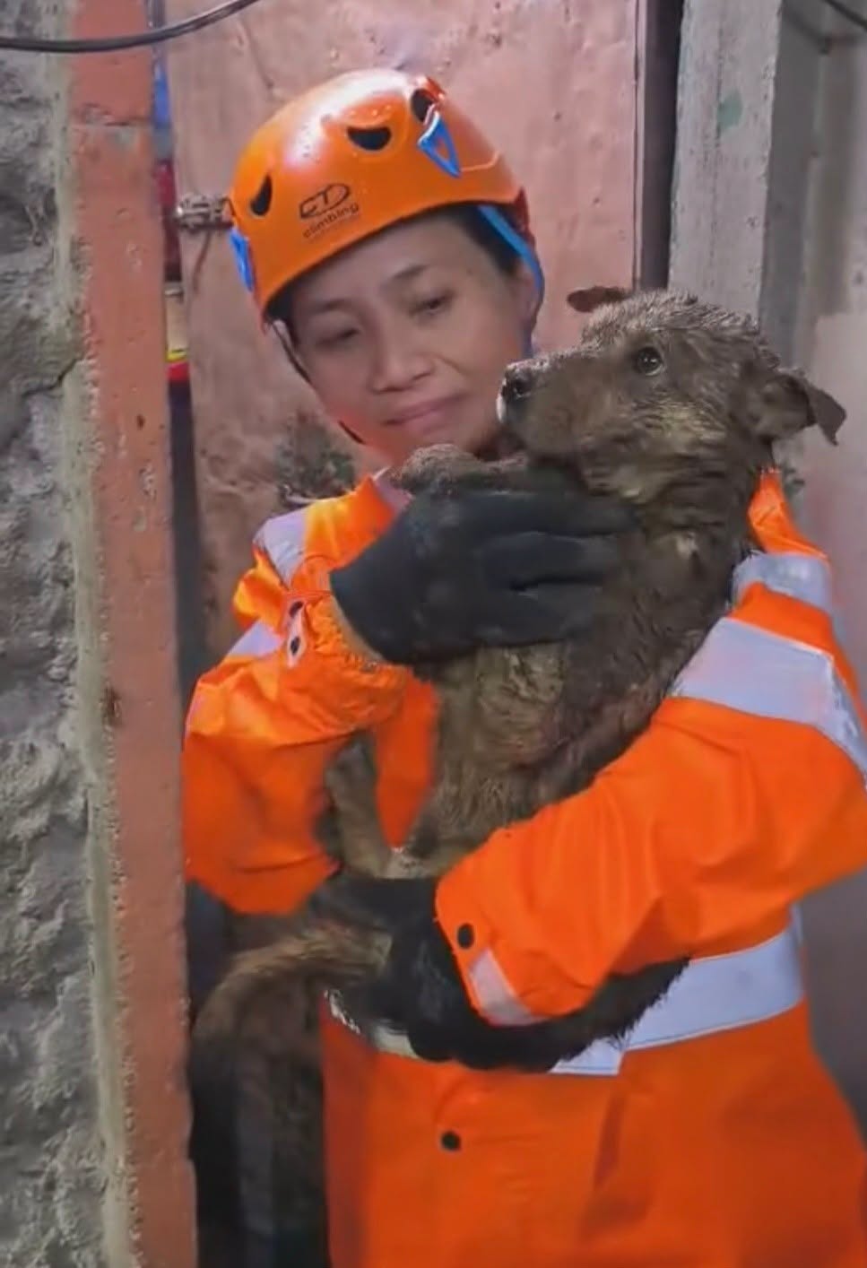 dog found landslide