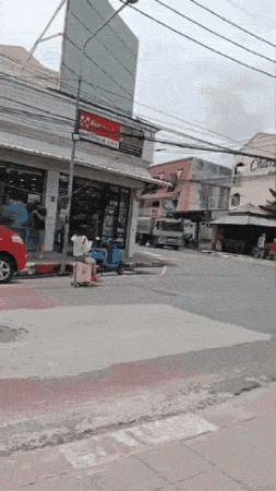 tourist rides suitcase