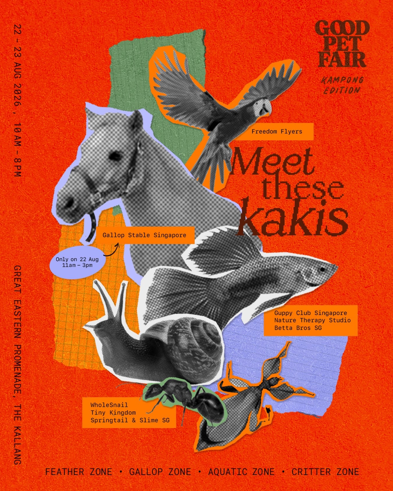 good pet fair (2)