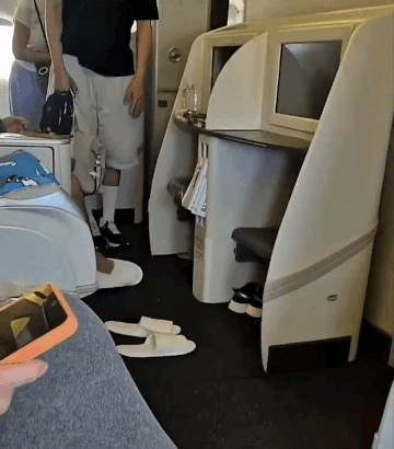 korean comedian flight delay