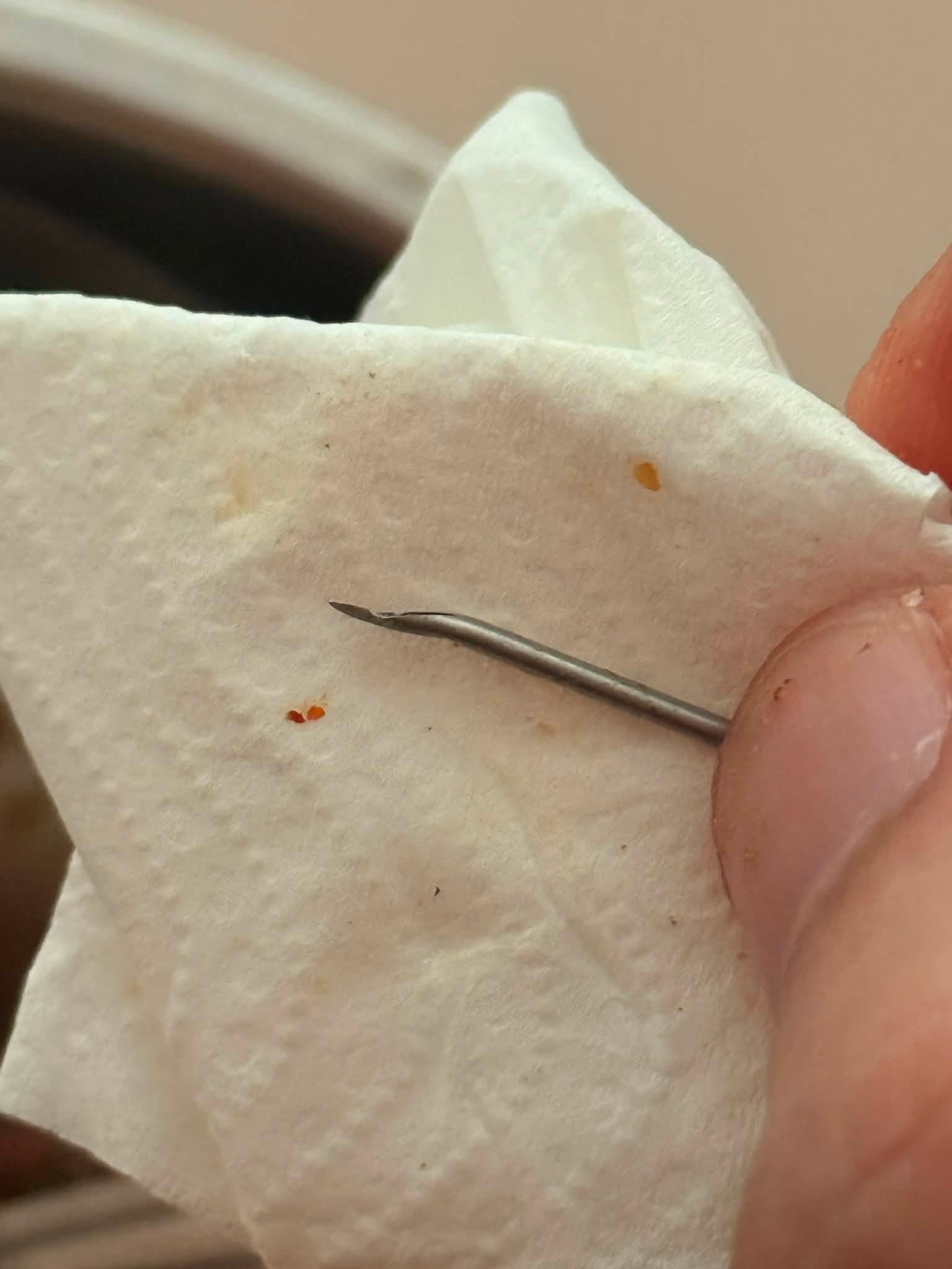 needle pork