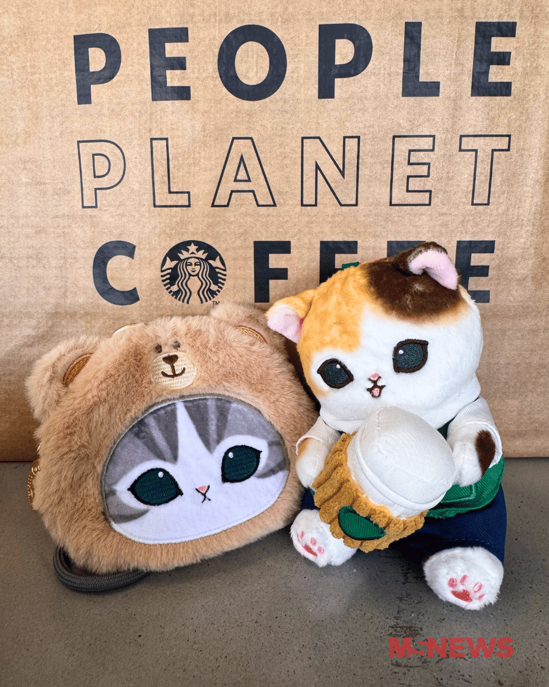 starbucks mofusand