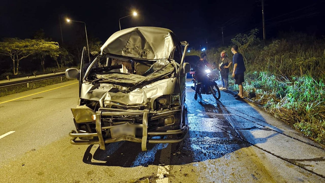 van collides wild elephant (1)