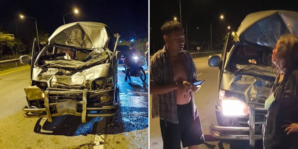 van collides wild elephant