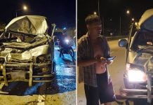 van collides wild elephant
