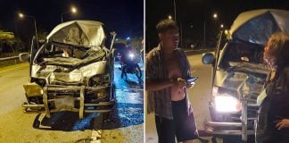 van collides wild elephant