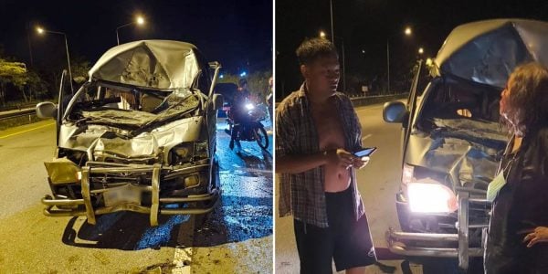 van collides wild elephant