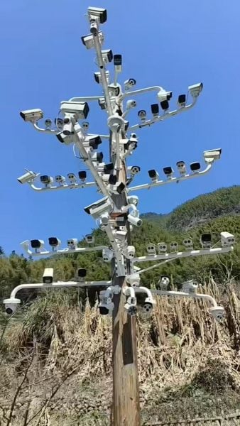 84 cameras china