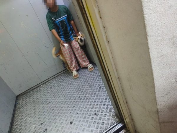pets cage apartment