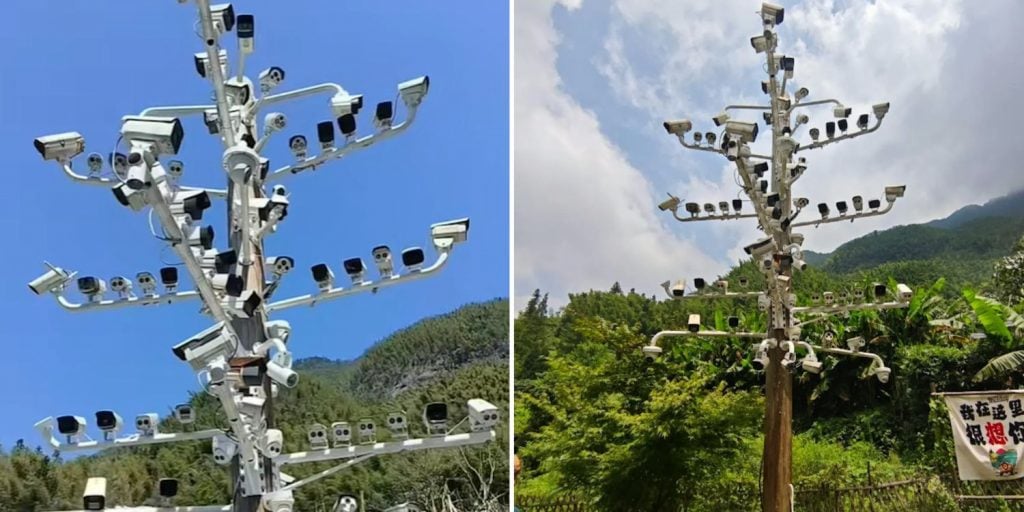84 cameras china