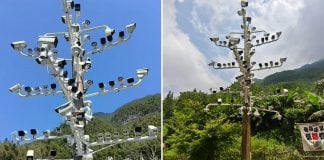 84 cameras china