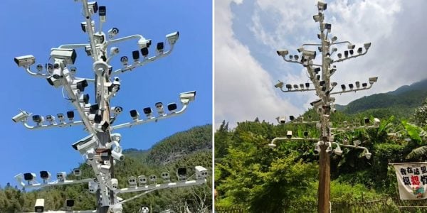 84 cameras china