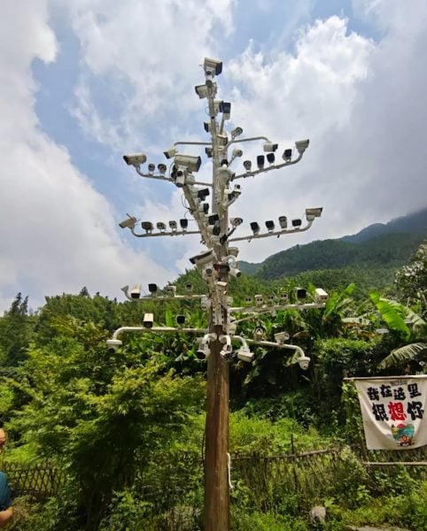 84 cameras china