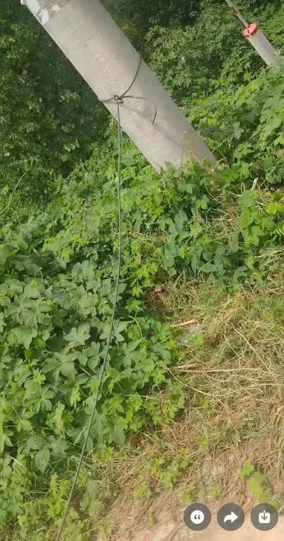 cable road