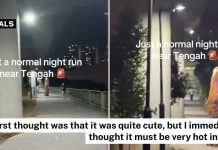 dinosaur costume