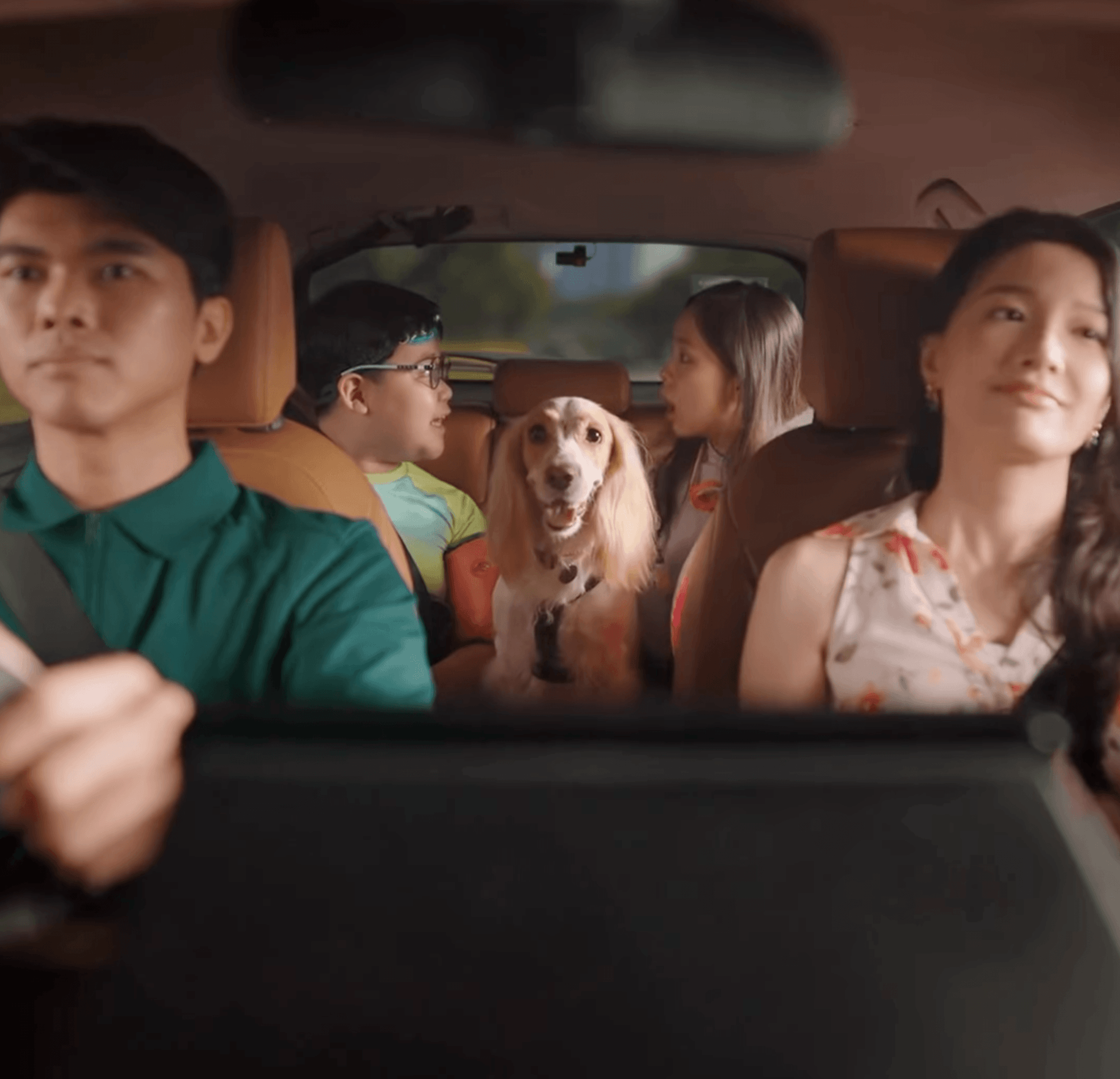i fell in love grab driver