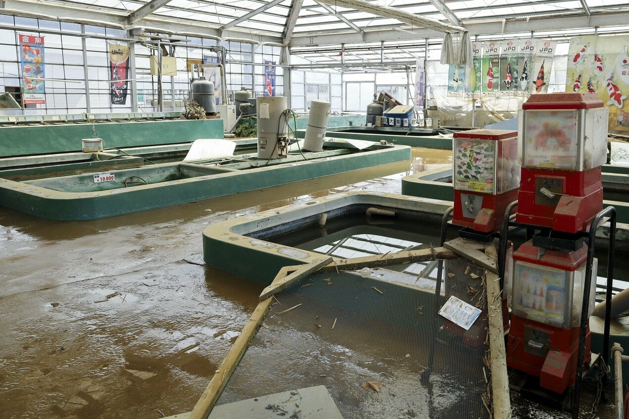 carp swept away