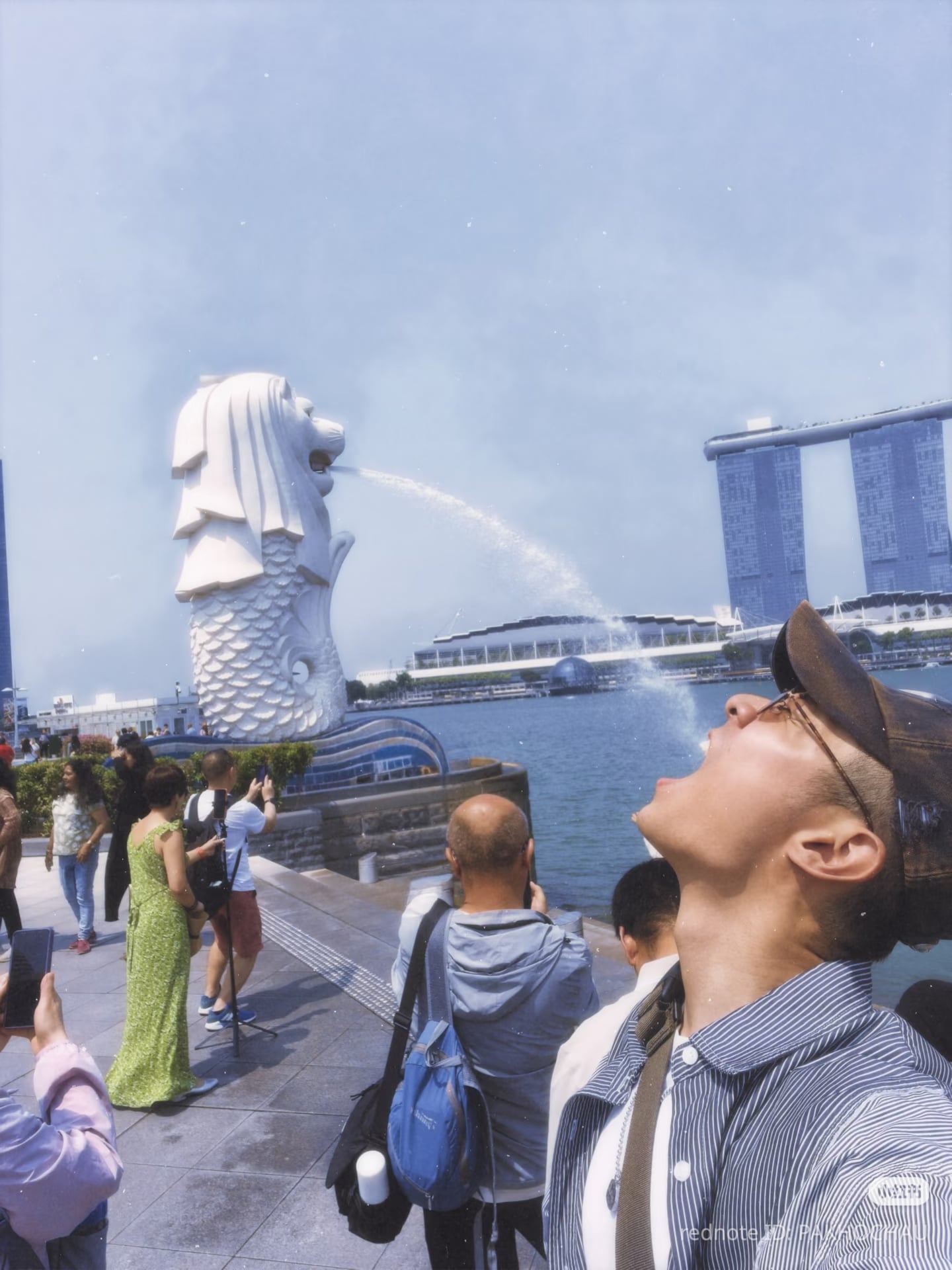 pakho chau merlion