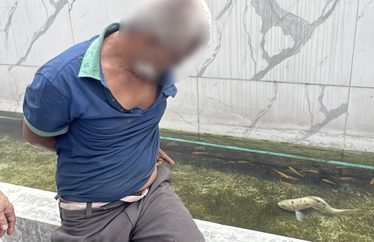 sexually assaulting koi fish