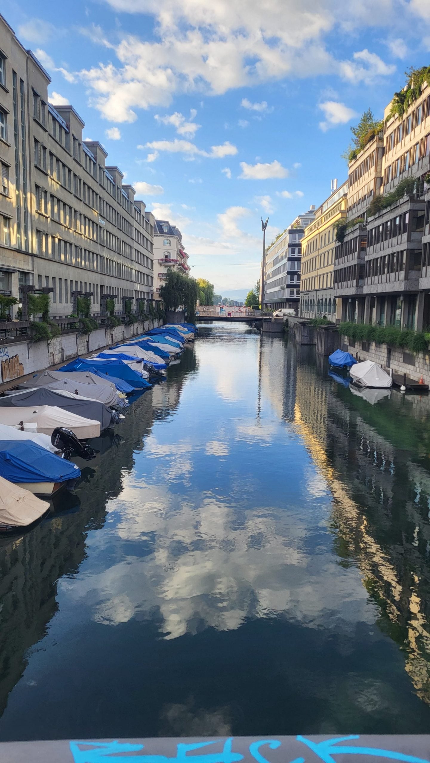 swim to work zurich (5) (1)