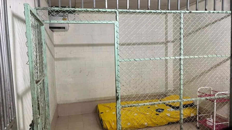 metal cages elderly