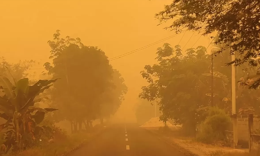 indonesia dry ice