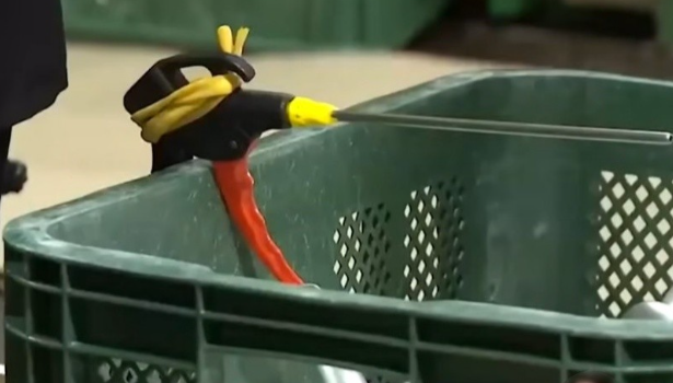 korean owner air gun
