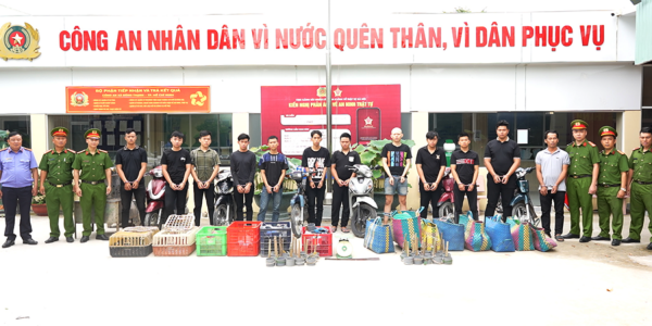 cats trafficked vietnam