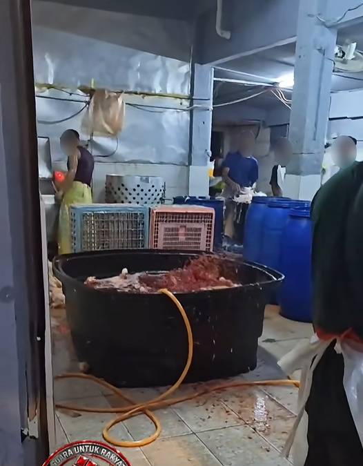 chicken supplier kuala lumpur (1)