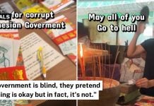 curse indonesian government