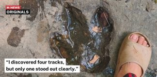 dinosaur footprint thailand