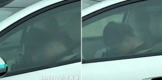 driver asleep highway