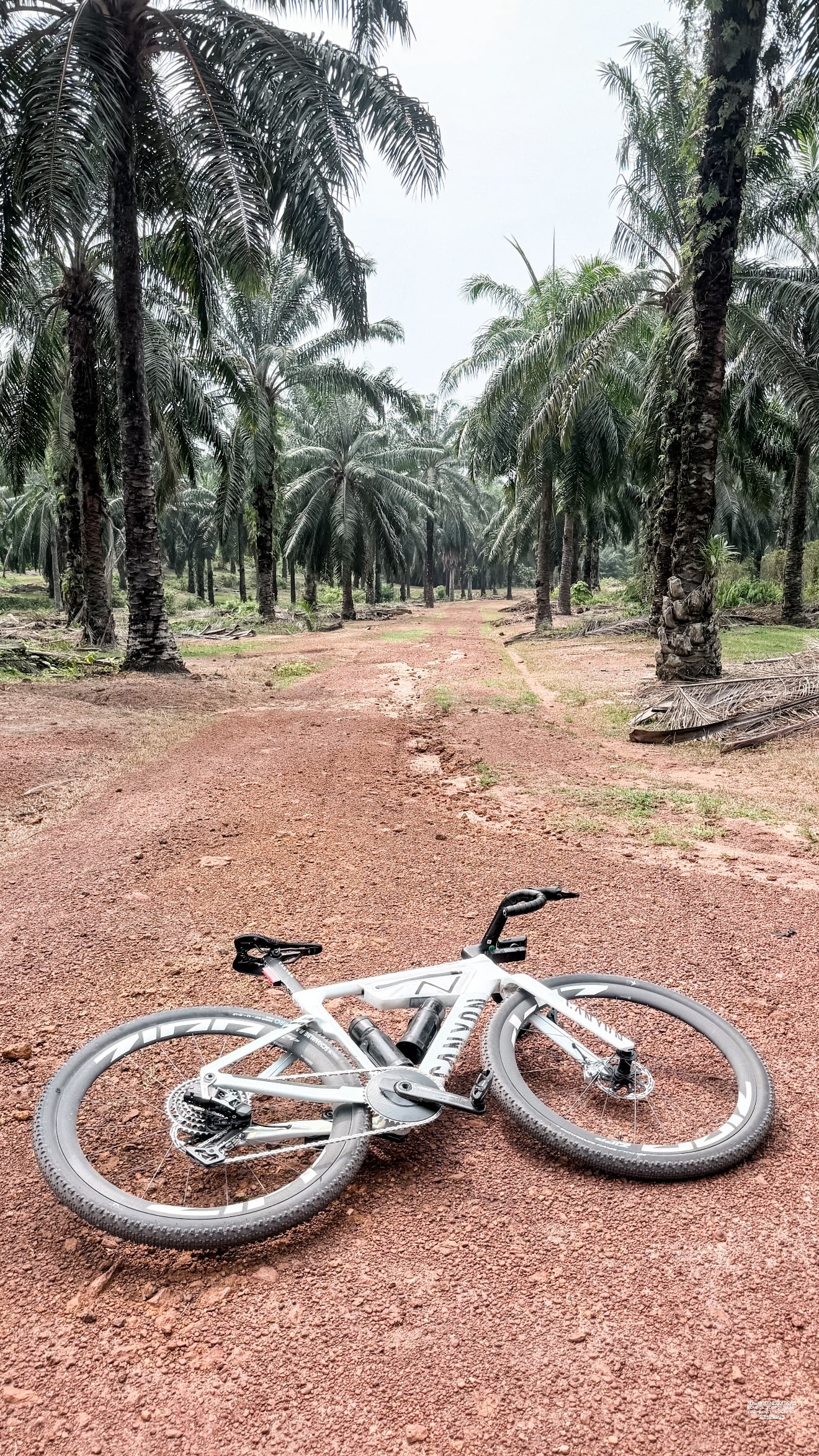 f1 bottas bicycle