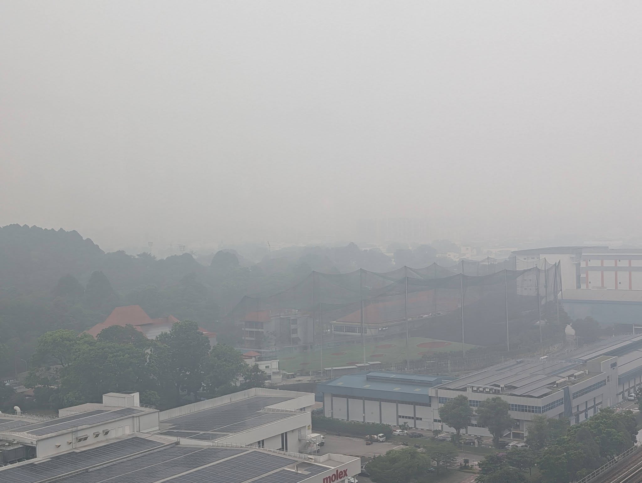 grace fu indonesia haze