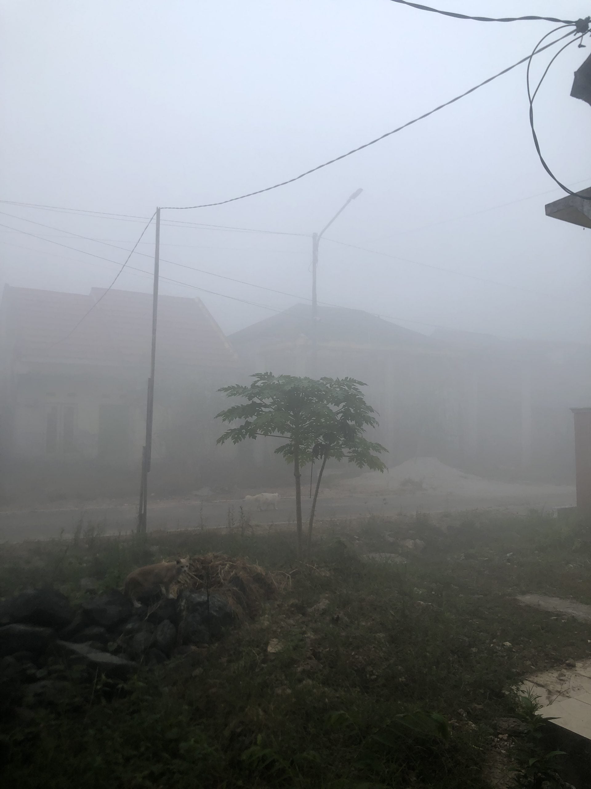 singapore's 2026 haze