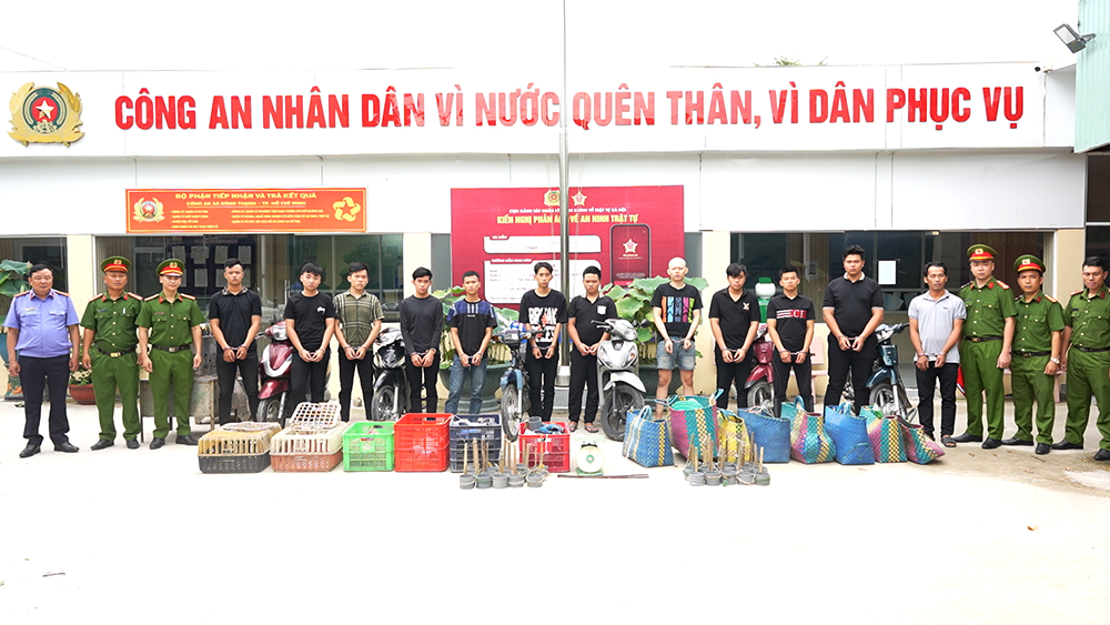 cats trafficked vietnam