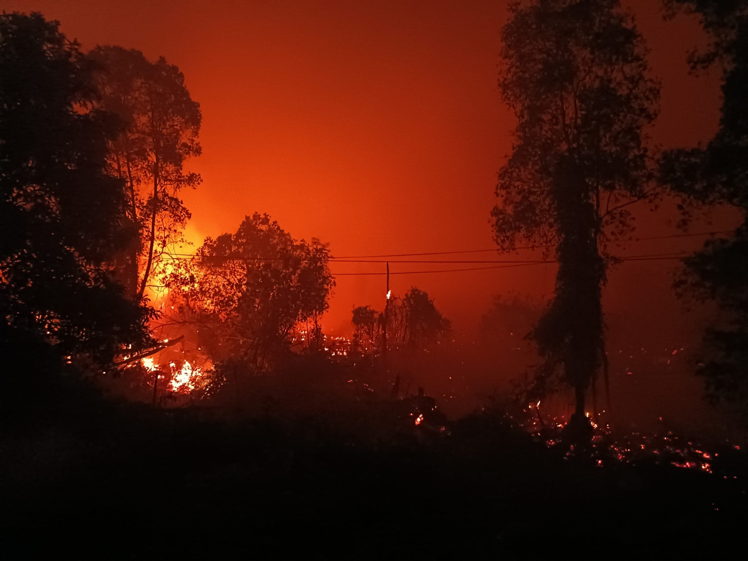 indonesia aid wildfires