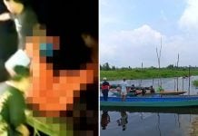 missing boy crocodile