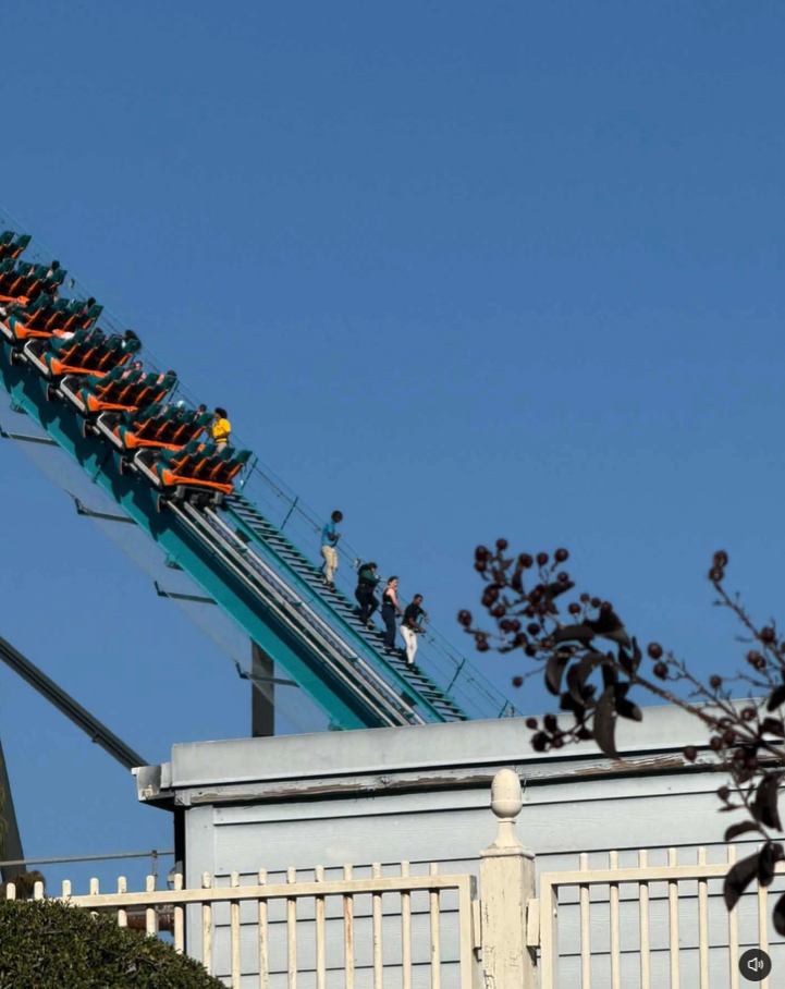 six flags rollercoaster death