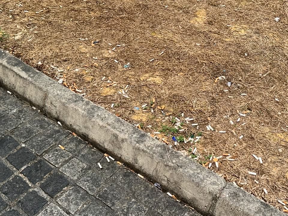 cigarette littered woodlands