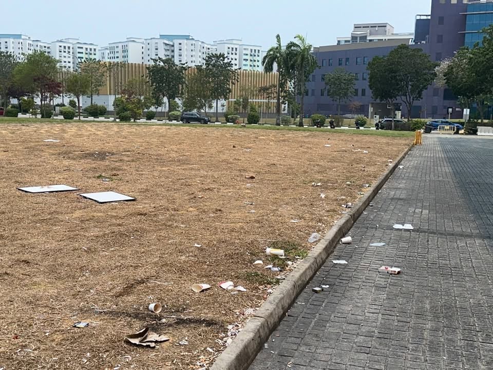 cigarette littered woodlands